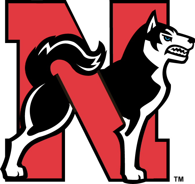 Northeastern Huskies 2001-2006 Alternate Logo v2 iron on transfers for fabric